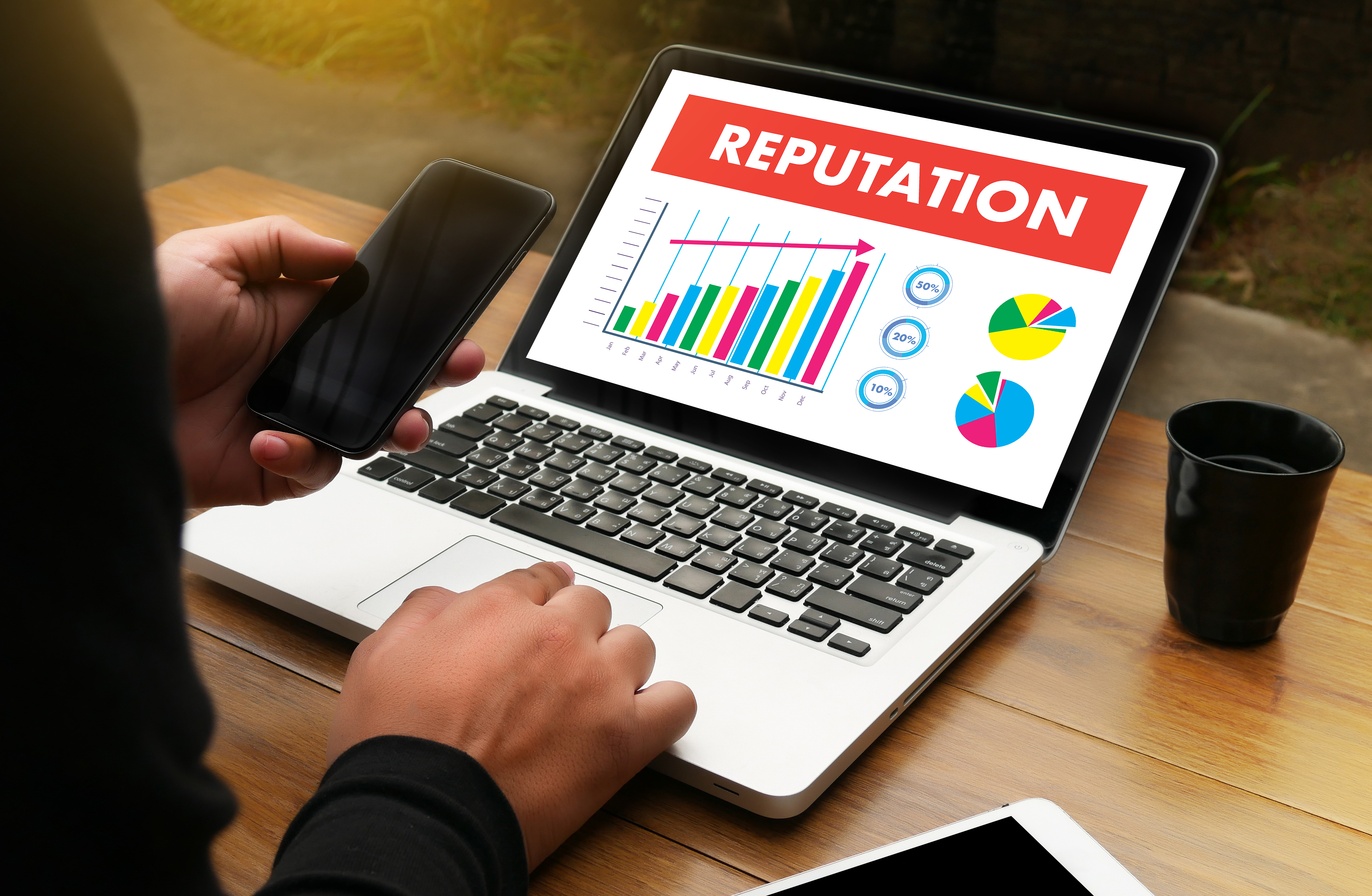 user on laptop view presentation titled Reputation